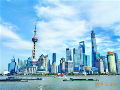 广州龙筋市场调查